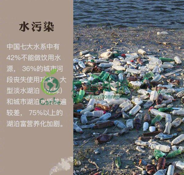 世界地球日 我們能為地球做些什么？(圖2)