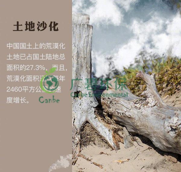 世界地球日 我們能為地球做些什么？(圖4)