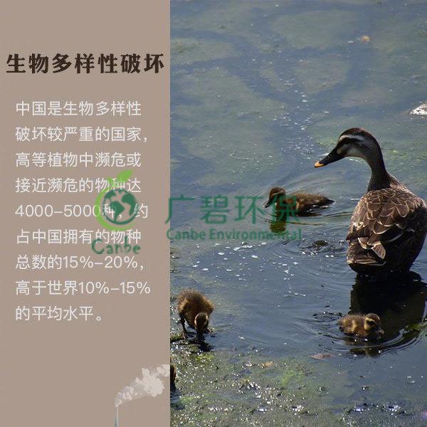 世界地球日 我們能為地球做些什么？(圖6)
