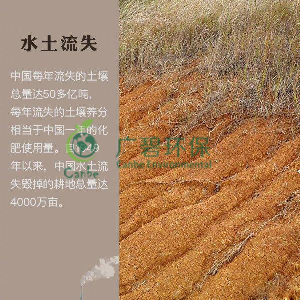 世界地球日 我們能為地球做些什么？(圖7)