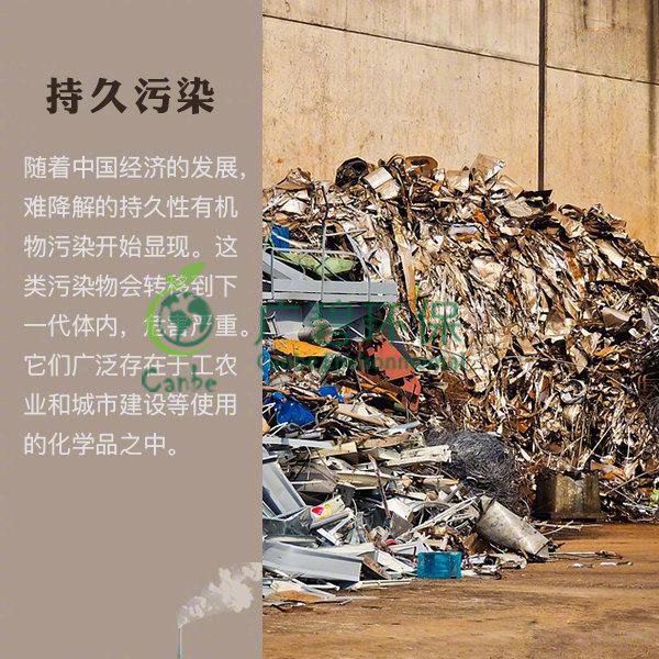 世界地球日 我們能為地球做些什么？(圖8)