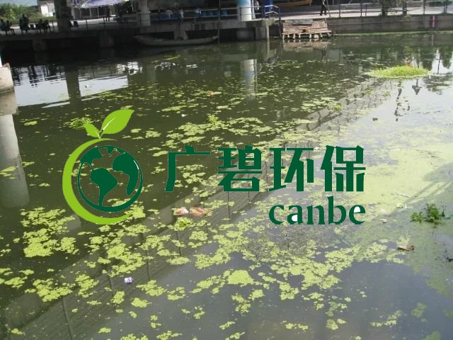 城市黑臭河道如何治理？河道黑臭水體治理思路(圖3)