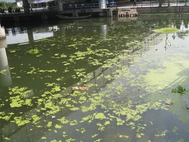 城市黑臭河道如何治理？河道黑臭水體治理思路
