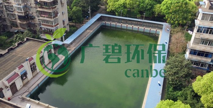 游泳池水變綠是什么原因？游泳池水處理方法(圖1)
