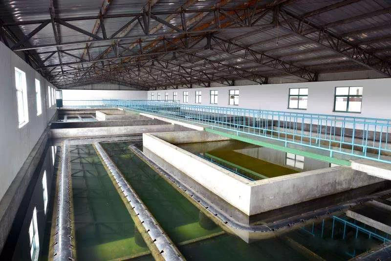什么是制糖廢水？制糖廢水處理技術(shù)