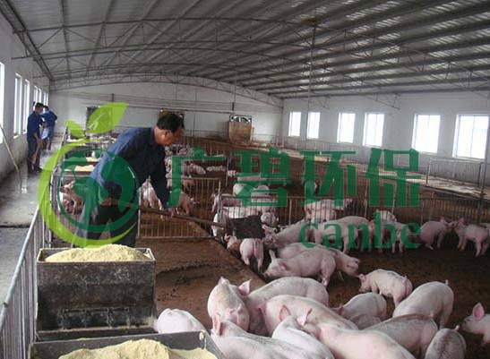 什么是養(yǎng)殖廢水？養(yǎng)殖廢水處理工藝(圖1)