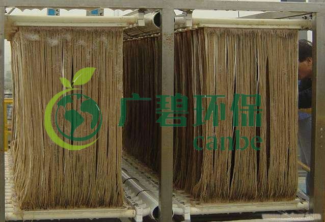 MBR污泥膨脹怎么處理？污泥膨脹的處理方法(圖1)