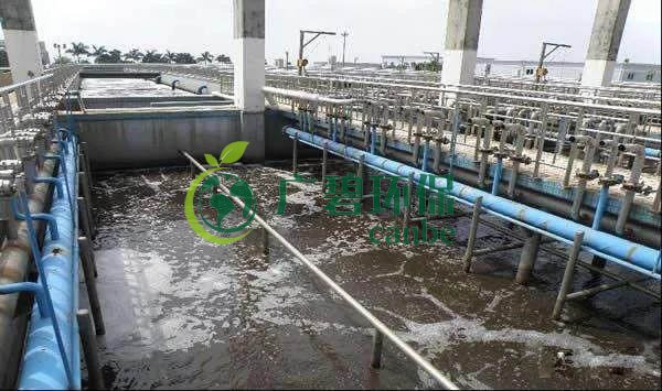 污水氨氮超標(biāo)怎么解決？氨氮超標(biāo)原因與解決方法(圖1)