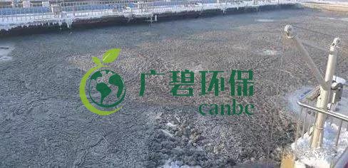 污水氨氮超標(biāo)怎么解決？氨氮超標(biāo)原因與解決方法(圖2)