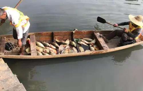 廣州旺旺食品廢水直排，永和河大量魚類死亡