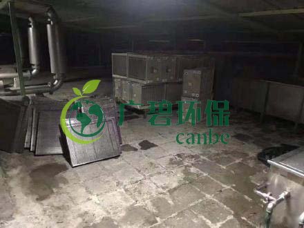 廣州旺旺食品廢水直排，永和河大量魚類死亡(圖3)