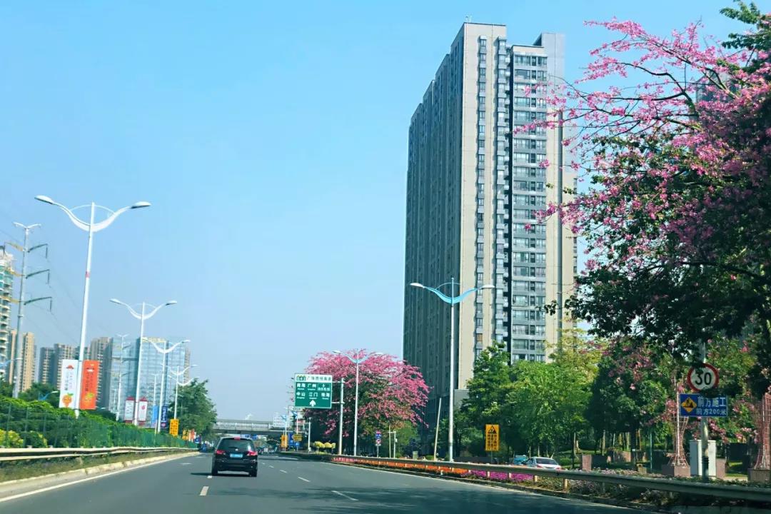 10月佛山五區(qū)32鎮(zhèn)空氣質(zhì)量排名！順德“氣質(zhì)”最好！