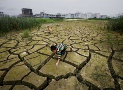 【世界土壤日】《土壤污染防治法》有哪些亮點？